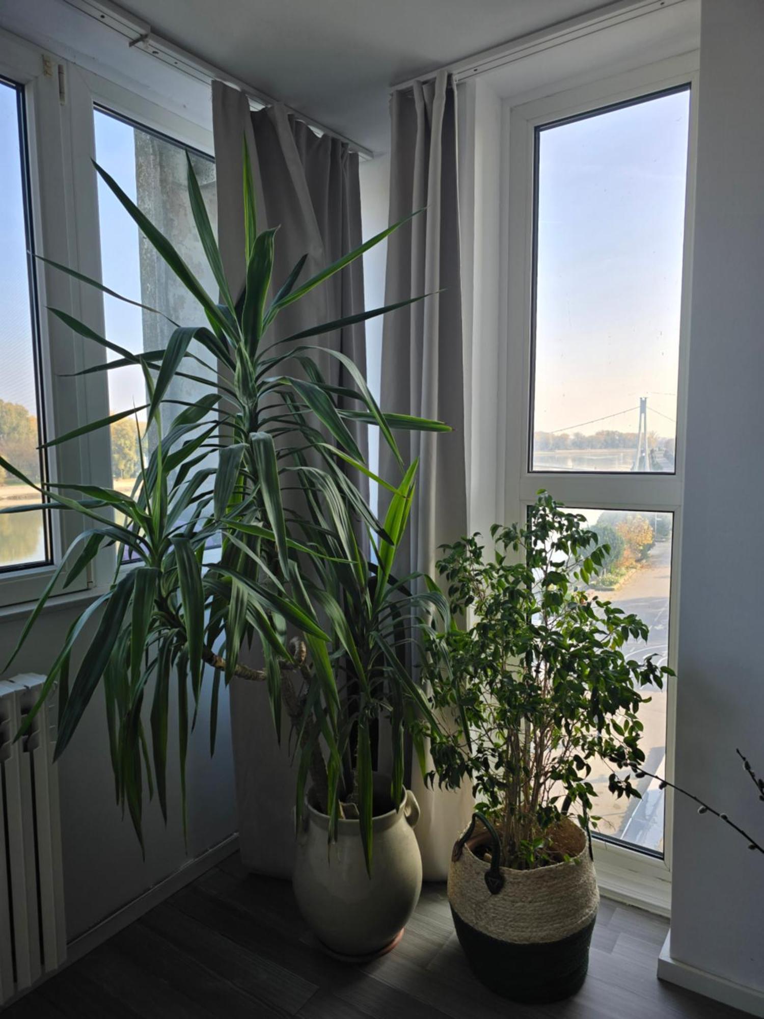 Riverview Apartment Осиек Екстериор снимка